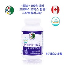 100억유산균 프로바이오틱스 비피더스유산균 불가리쿠스 프락토올리고당 프리바이오틱스 비피더스균, 1병, 60캡슐