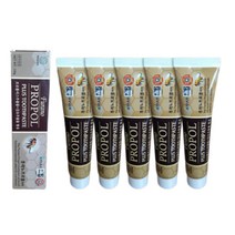 프로폴플러스 치약 5개 프로폴리스 추출물함유