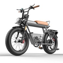 COSWHEEL 코스휠 CT20 20인치 전기자전거 48V 750W 리튬배터리 팻바이크, 15Ah(60km 주행가능)