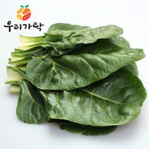 [우리가락]근대 1kg, 단품