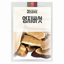 조은약초 영지버섯 500g