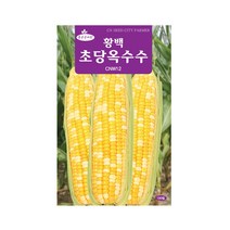 모두다 청농 채소씨 옥수수씨 씨앗 초당옥수수-황백(100립)