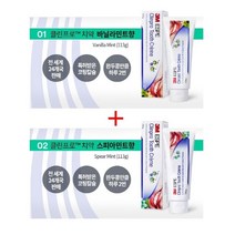 3M 클린프로 투스크림 기능성치약 2+2 치아미백 구취 셀프치석제거 불소함유 치과의사추천 안전한치약, 바닐라민트향 2개+스피아민트향 2개