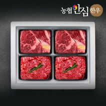 농협안심한우 혼합4호 선물세트 1.2kg (등심2/불고기2), 단품