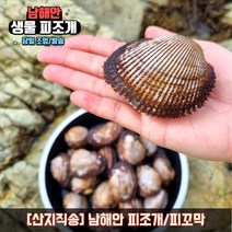 남해안 피조개 피꼬막 피조개회 조개 구이 찜 탕, 2kg, 1개
