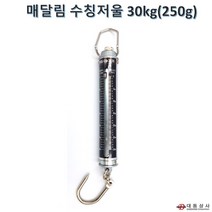 O대동상사 [현대계기]매달림 저울 수칭30kg(250g)휴대용 용수철