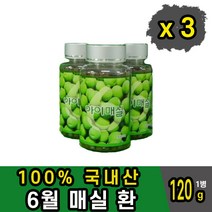 국내산 100% 매실환 청매실 아이매실 농축액 마분말가루