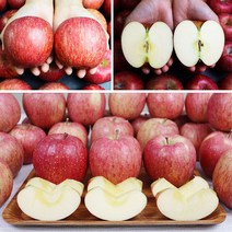 새콤달콤 풍부한 과즙이 햇사과 3.5kg 꿀부사, 3.5kg 12과내외