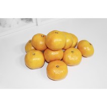 (산지직송)제주삼대농장 친환경 무농약 감귤 노지 타이벡 3kg 5kg 10kg, 타이벡 감귤