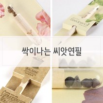 흥미유발 싹이나는 씨앗연필, JS 해바라기
