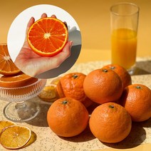 제주 명품 카라향 고당도 가정용 선물용 2kg 3kg 5kg 10kg, 5kg 15-30과 선물가방포함, 선물용 카라향