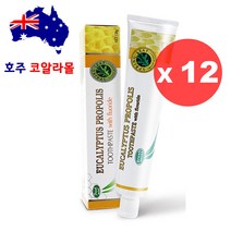 호주직구 프로폴리스 치약 120g 6개 스프링리프 호주코알라몰, 12개