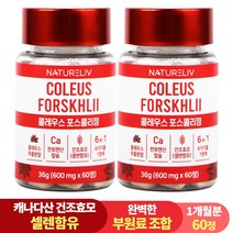 건조효모 콜레우스 포스콜리 결정판 60정 셀레늄 판토텐산 칼슘, 2개
