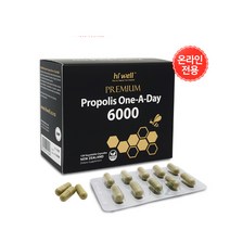 뉴질랜드 하이웰(hiwell) 프리미엄 프로폴리스 원어데이 6000mg 120베지캡슐, 120캡슐, 1개