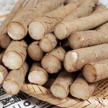 향긋한 23년산 안동 햇 우엉 2kg / 4kg, 1개, 2kg (상품)