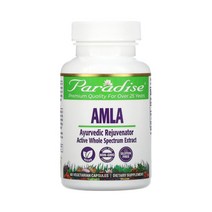 파라다이스 허브 유기농 암라 60 베지 캡슐 Amla