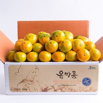 [옴마품]달콤새콤 햇노지감귤 4.5kg중대과(L/2L)