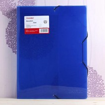 DT 투명 밴드 화일정리 케이스 대 심플화일 서류화일