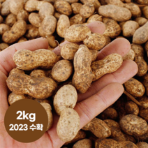 엄마마음 국내산 경북예천 우리토종 햇땅콩 생땅콩 흙땅콩 땅콩, 2kg