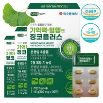 기억력 혈행 개선 엔 징코 플러스 7중 복합 기능성 두뇌 건강 개선에 도움 은행잎 추출물, 500mg×90정 (3개월분)