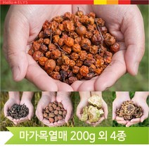 건강차 건조 탱자 산사 사과락 헛개열매 마가목 200g, 헛개열매(12YU), 1개