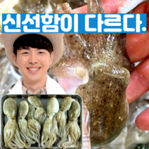 [확실한 신선도] 생물 활쭈꾸미 생쭈꾸미 제철 봄쭈꾸미 택배 1kg, [2,000원 할인] 왕신선 40미 내외 3kg