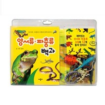 모형백과 양서류 파충류 1EA 유아미술 유아스티커