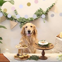 그냥 점례 [그냥 점례] 강아지 생일파티 6종 선물세트 케이크, 선물세트 케이크 맛선택(오리고기)