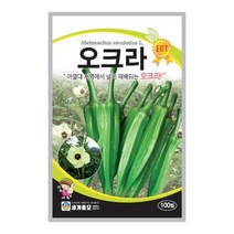 모칸도 세계종묘 채소씨앗 오크라 100립
