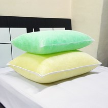 홈아트 경질 바이오칩 베개 2개, 랜덤발송