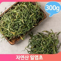 한방차 일엽초 약재 300g 건강차 건조 말린약초 영양