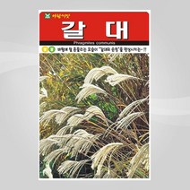 슬로시 갈대 씨 갈대 1L 씨앗 아람