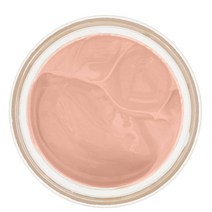 Chantecaille 샹테카이 퓨쳐 스킨 파운데이션 30g 아이보리