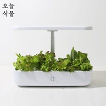[KT알파쇼핑]오늘식물 AIR 식물 수경 재배기 1세트(가정용 스마트팜)