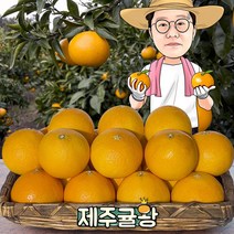 귤왕 농장 직배송 제주 하우스 노지 황금향 2kg 3kg 5kg 10kg 가정용 선물세트, 01.노지황금향 가정 중소과2kg 13과내외