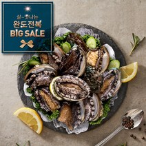 [살맛나는 BIG SALE] 완도3대 영진수산 완도 활전복/1kg (산지직송 산소포장), 1box, 영진수산-실속형-완도 활전복 11-12미/1kg