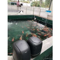거북이 저소음 밥 미니 수조 밥주는 조절 물고기 자동급여기 공급기 정량 키우기, 1-4차 자동 투입기