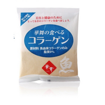 피쉬 콜라겐 펩타이드 대용량, 100g, 1개