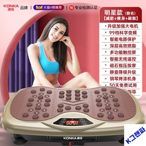 진동운동기 덜덜이 지방 트위스트 기계 장비 떨림 입식, 스타 【강력 다이어트+슬림】샴페인골드/99단+5단 파워