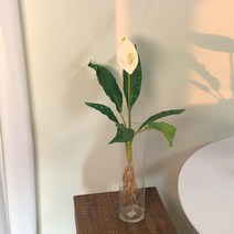 블레스블룸 스파트필름 식물 조화 그린 인테리어 수경