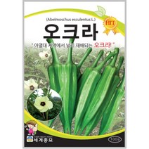 오크라 100립/오크라종자 텃밭 키우기 오크라씨앗, 1개
