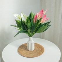 [바보사랑] 안수리움부쉬 47cm, 색상:화이트, 상세 설명 참조