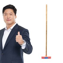 데일드 바닥솔 소, 혼합색상, 1개