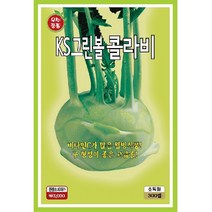 근채류 씨앗] 그린볼 콜라비 300립, 1개