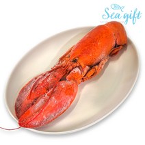 [저수율특가]홀랍스터 4.54kg 250350 자숙 버터구이 찜 소프트쉘, 단품