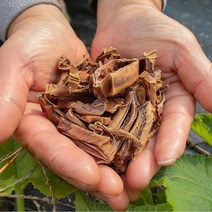 유기농 작두콩차 돼지감자차 여주차 비트차, 유기농 여주차 40g