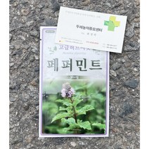 허브종자/페퍼민트/200립