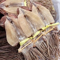 [자연맛남] 영덕 당일바리 마른오징어 20미 한축 2kg내외_국내산, 단품