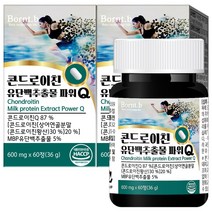 본트비 콘드로이친 MBP 유단백추출물 파워Q 상어 연골 칼슘 600mg x 60정, 2박스, 600mgx60정