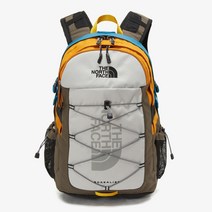 노스페이스 보레알리스 2 30L 백팩 NM2DP03C